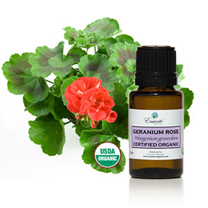 https://www.essanteorganics.com/default.aspx?tabid=368&category=902