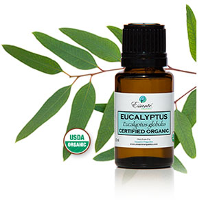 https://www.essanteorganics.com/default.aspx?tabid=368&category=902