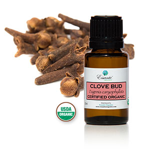 https://www.essanteorganics.com/default.aspx?tabid=368&category=902
