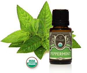 https://www.essanteorganics.com/default.aspx?tabid=368&category=902